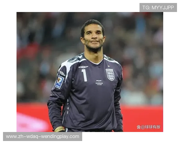 2025赛季巴拿马籍英超球员人数统计数据